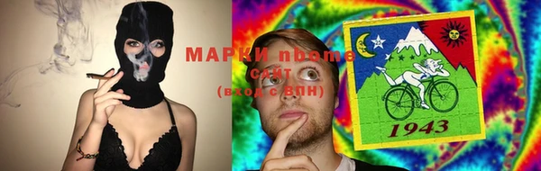 шишки Елизово
