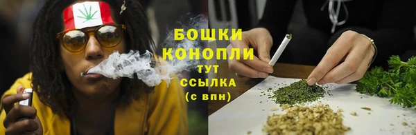каннабис Покачи