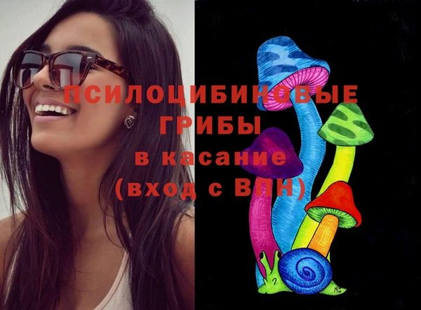 хмурый Алексин