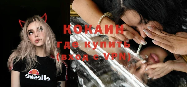 хмурый Алексин
