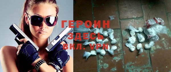 хмурый Алексин