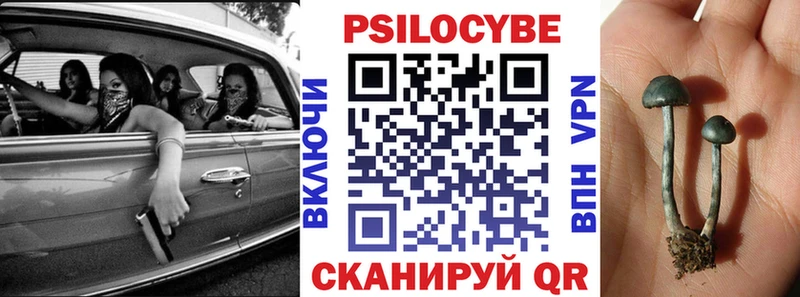 ОМГ ОМГ ONION где найти Котельники Галлюциногенные грибы мицелий