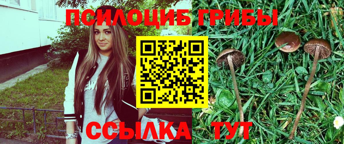 Котельники  Галлюциногенные грибы Psilocybine cubensis  Вход с VPN  Галлюциногенные грибы мухоморы 