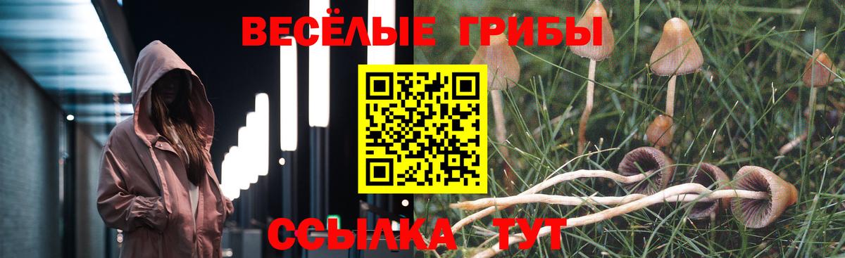 Галлюциногенные грибы Psilocybine cubensis Котельники