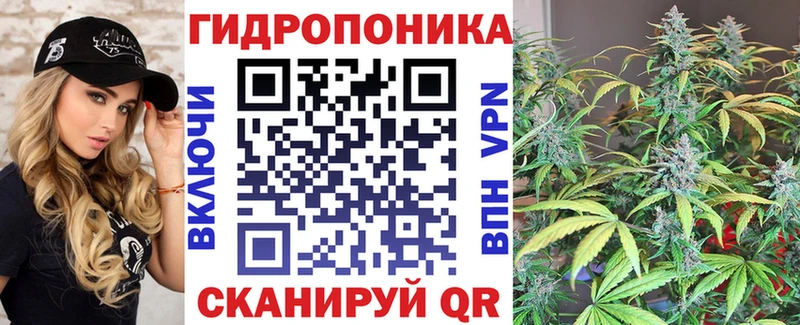 Каннабис конопля  omg маркетплейс  Котельники 